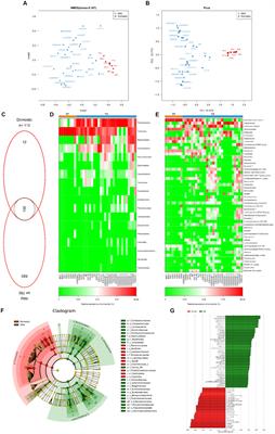 Multi-omics analysis of gut microbiota and metabolites reveals contrasting profiles in domestic pigs and wild boars across urban environments